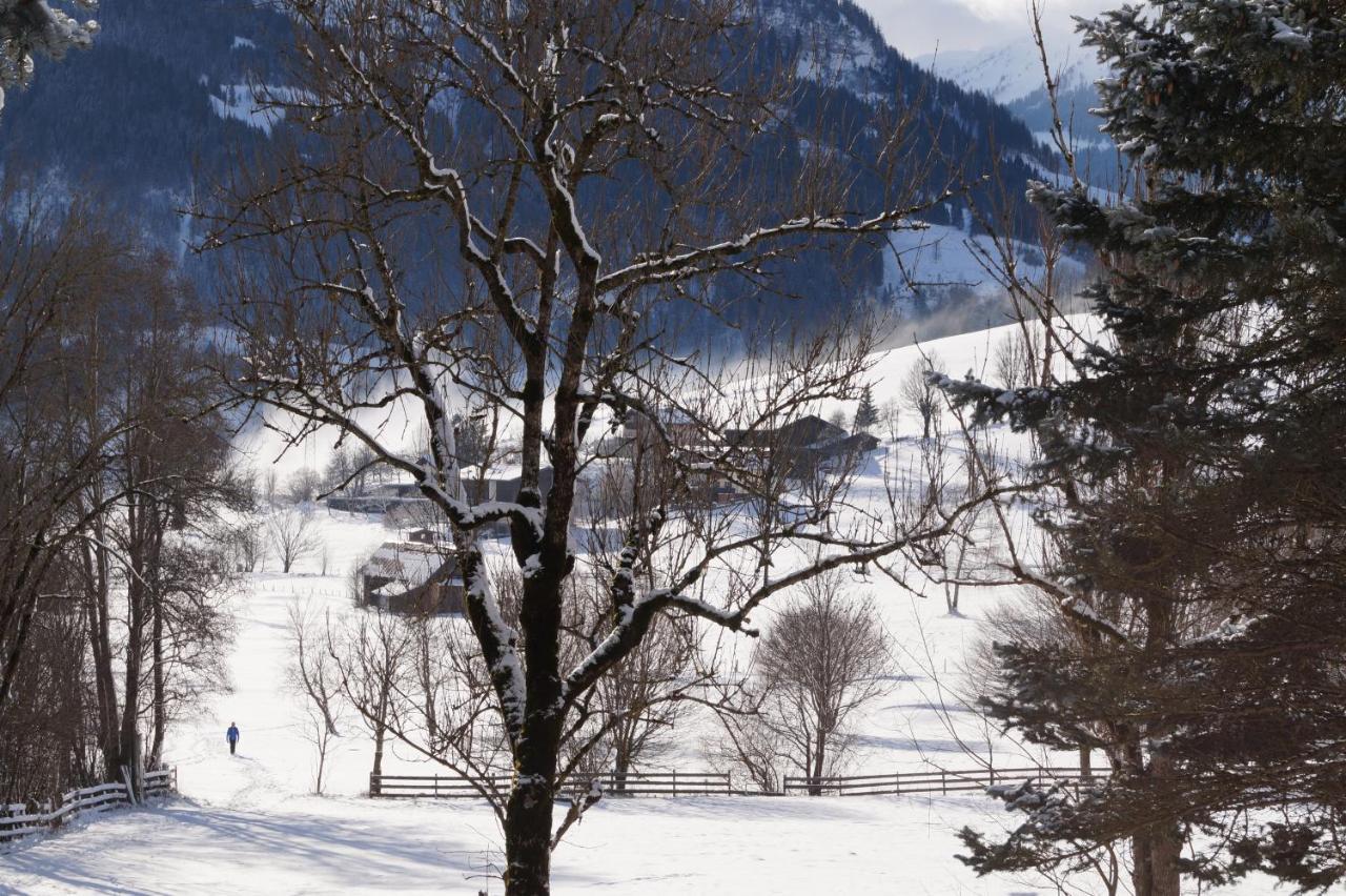 Apartment Alpenpanorama Goldegg Esterno foto
