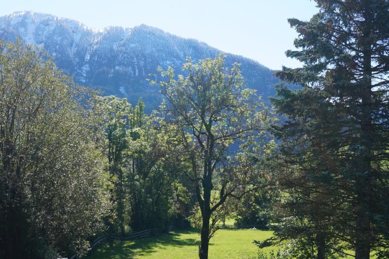 Apartment Alpenpanorama Goldegg Esterno foto