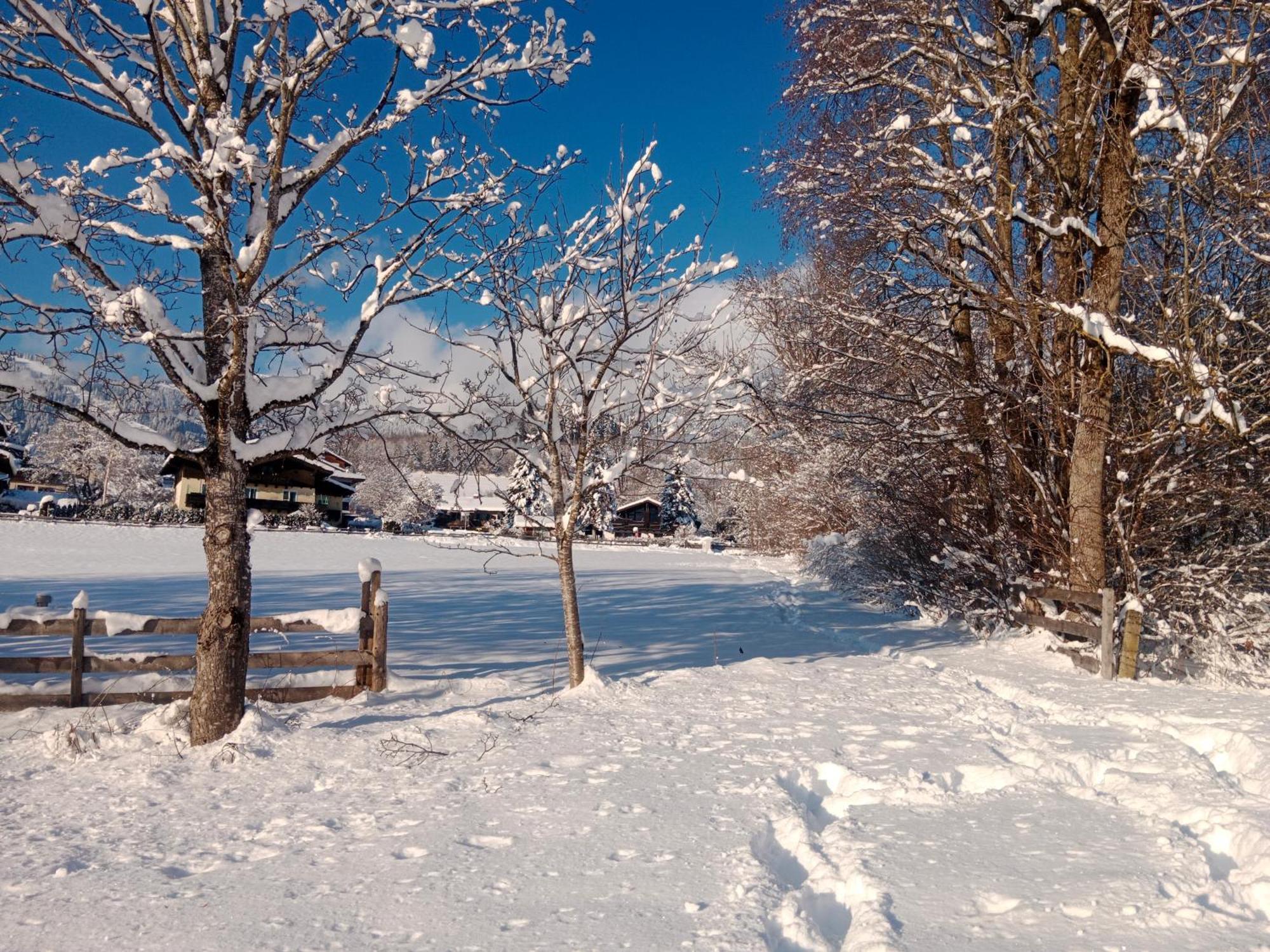 Apartment Alpenpanorama Goldegg Esterno foto